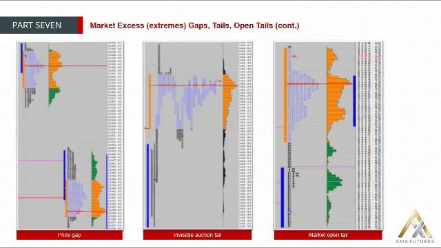 137. MODULE 2 - THE PROFICIENCY PART 7-5 Market Auction Excess (extremes) Gaps Tails Open Tails(cont