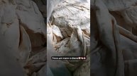 😳😱лаваши как корм скотине🔥