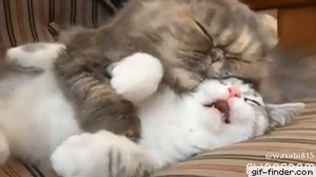 Муж и жена в субботу  ! Утро!!!