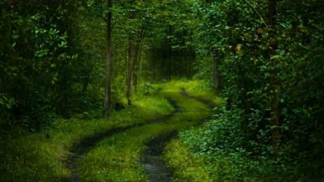 Зелёный- цвет жизни