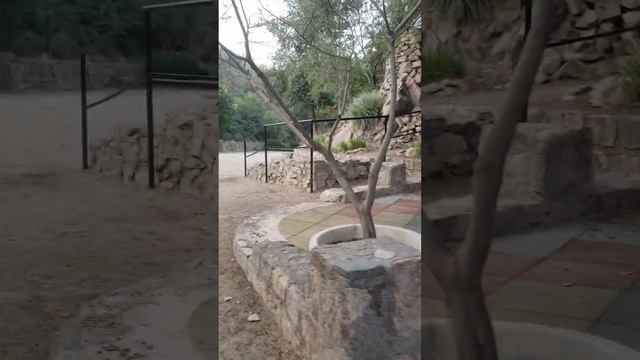 Гора Сан Кристобаль Сантьяго. Чили. Часть 4.
