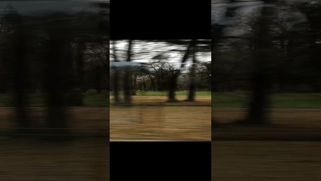 Петергоф.Александрия