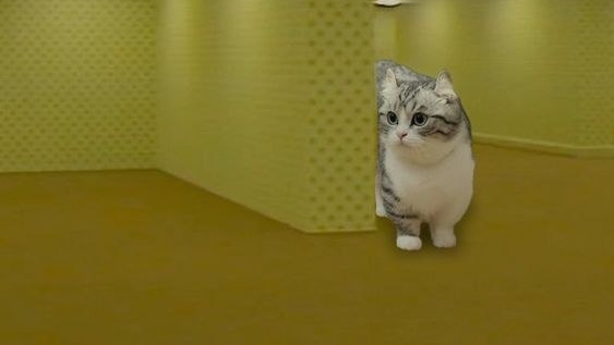 самый лëгкие трюк чг