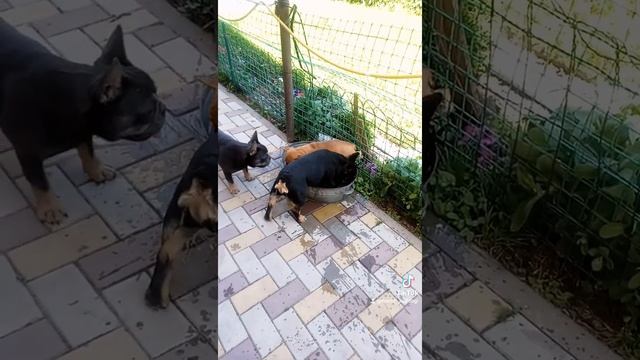 Начало купального сезона