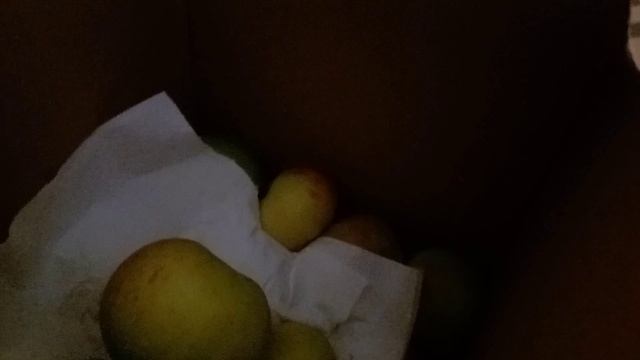 20241026 Добрые соседи