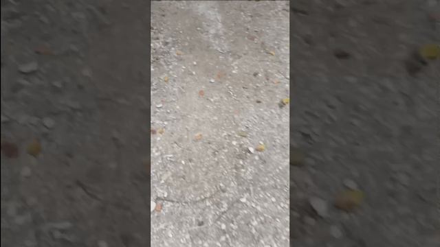 Наши похождения в Геленджике!