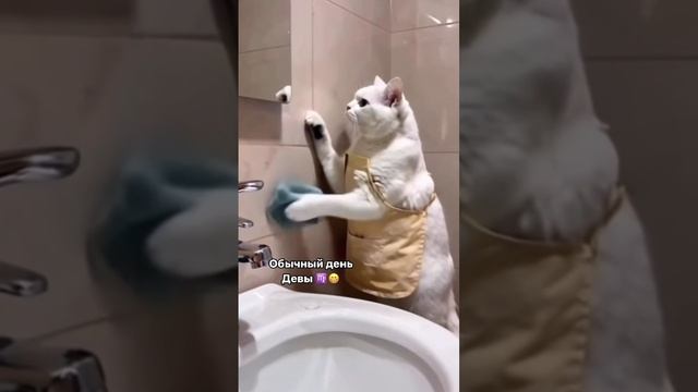 Все мы в субботу немного Дева ♍️ 😁