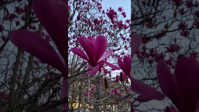 Радость в моменте