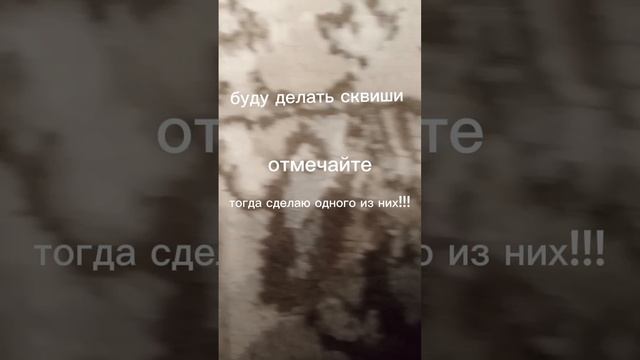 ставьте лайки или подписывайтесь на канал чтобы я сделала какой-нибудь Сквиш