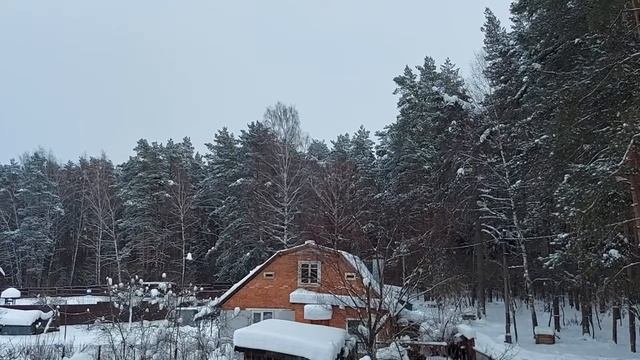 КОГДА НУЖНО РАЗВОДИТЬСЯ…(ИНГА ХОСРОЕВА)