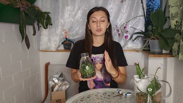 Тайна ЧУДО посылки Открыта/ Орхидей стало намного больше