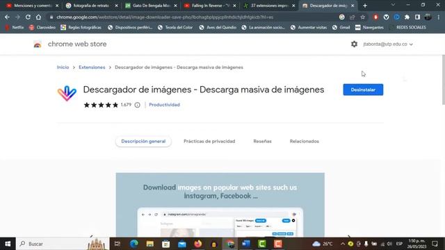 👌 EXTENSIÓN para DESCARGAR IMÁGENES de 😲 CUALQUIER sitio WEB