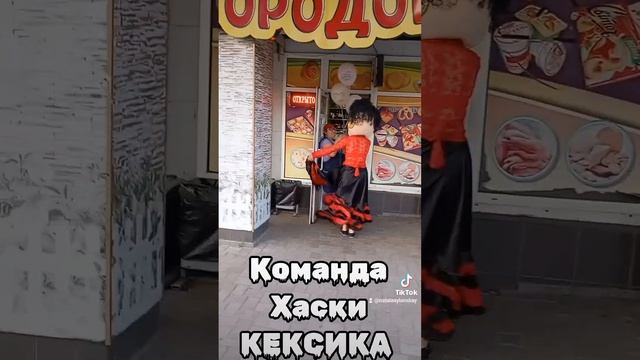 Команда Хаски КЕКСИКА