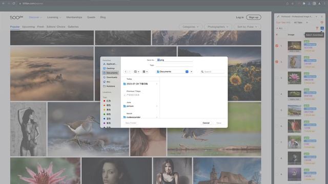 Pichound chrome extension Introduction and Tutorials