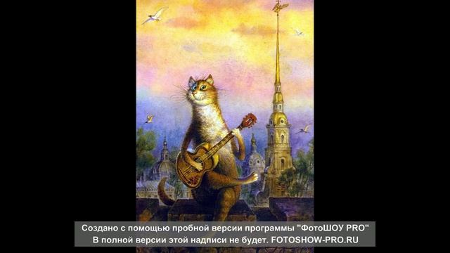 Вселенский кот. Авторская песня Ольги Соковой