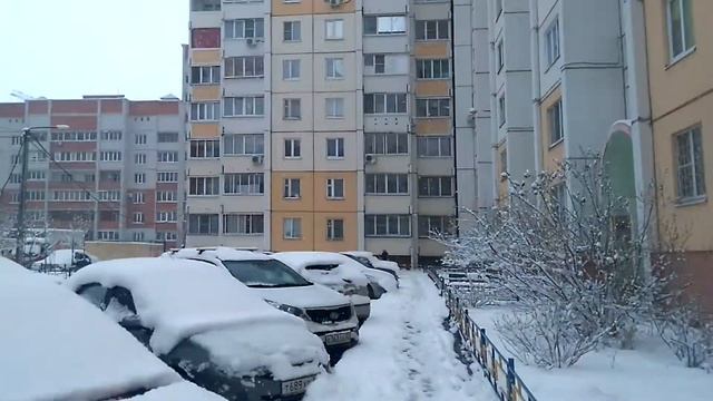 зима пришла в Воронеж)