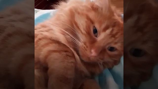 Отдых на Бали
