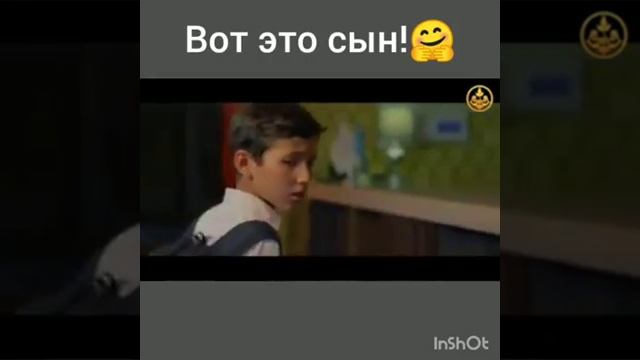 Он настоящий сын своей мамы