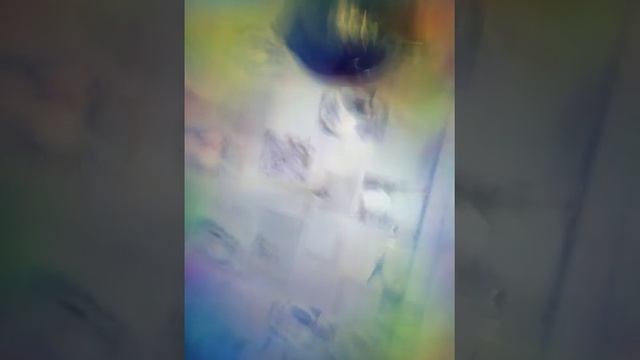 24 часа на кухне