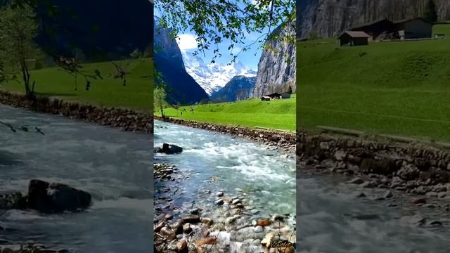 Радость в моменте