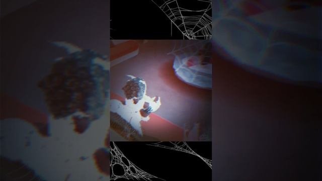Lv_0_20241022072824.mp4 
Роблок меня заставили это сенять