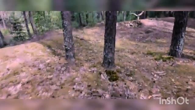 О болотниках и других персонажах языческого фольклора