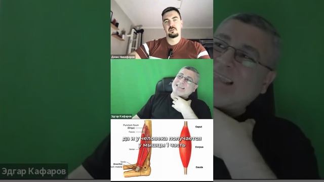 Бесплатный мини-курс по осанке и функциональным тренировкам
