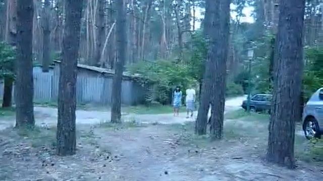 Пара в лесу