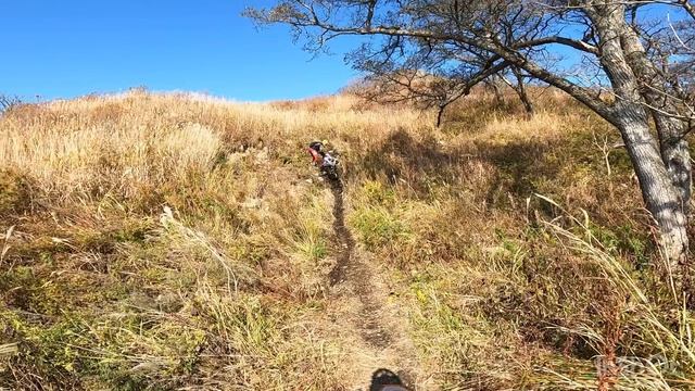 Безверхово 25.10.24 #эндуро #enduro
