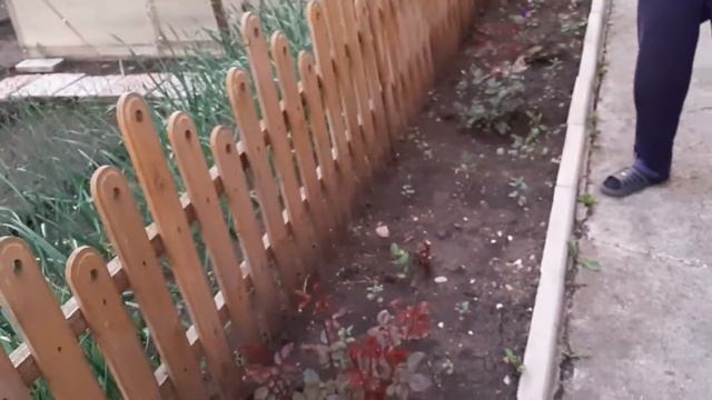 #44, Готовим ПИЦЦУ🍕