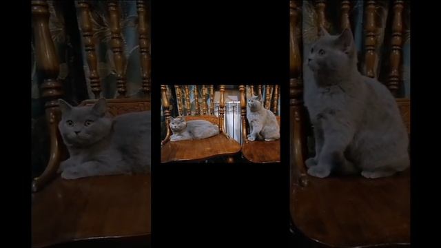 lv_0_20241026200637.mp4