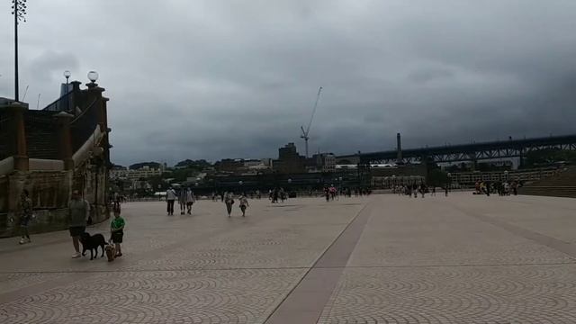 My First day experience at Sydney Opera House and Harbor Bridge(Stay with me)