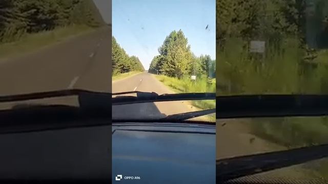 Штраф за превышение😄 #скорость #авто #