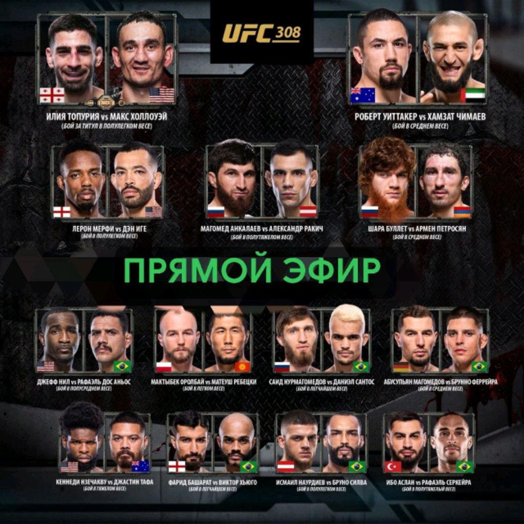 ufc 308