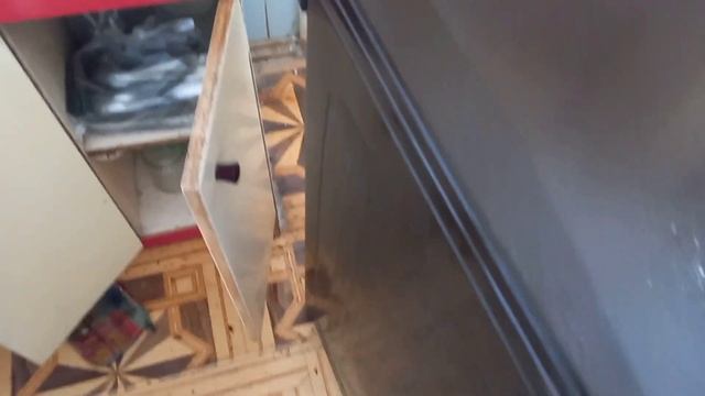 клоп таракан