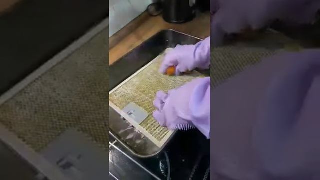 Как избавится от надоедливого жира на кухне. Отзыв