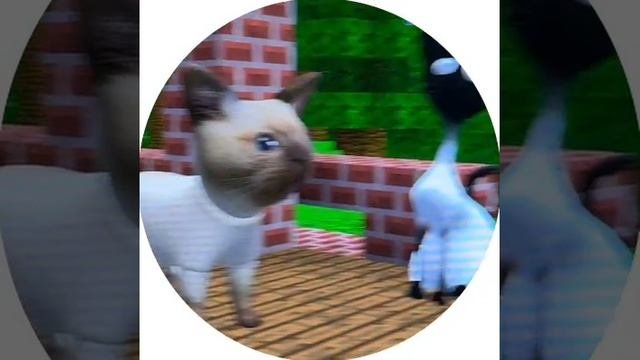 1000005333.mp4