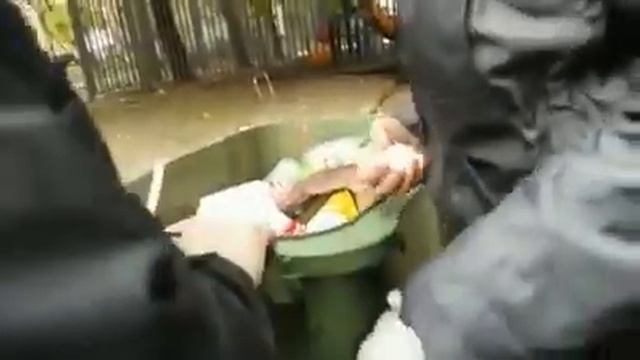 Смотрит " народные избранием" где питается народ!!!!