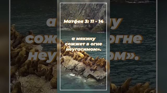 Матфея 3: 11 - 14 | ИПБ им. Кулакова  #sda_voskhozhdenie_shorts #книги #библия