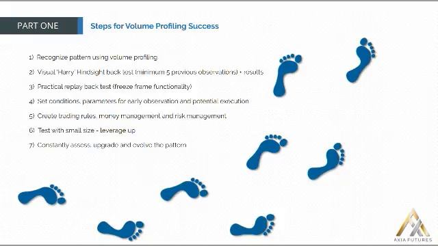 13. MODULE 1 - THE APPRENTICESHIP PART 1-14 Steps for Volume Profiling Success