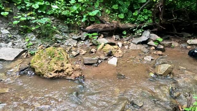 Summit на водопадах
