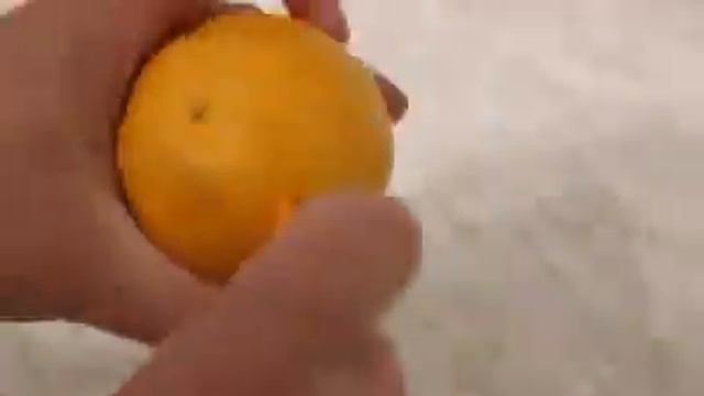 Удобный сниматель кожуры лучшие товары для кухни с алиэкспресс