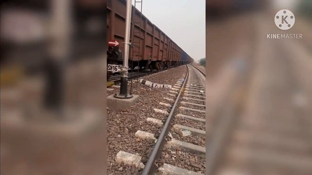 TRAIN HITS BRAVE ON THE TRACK