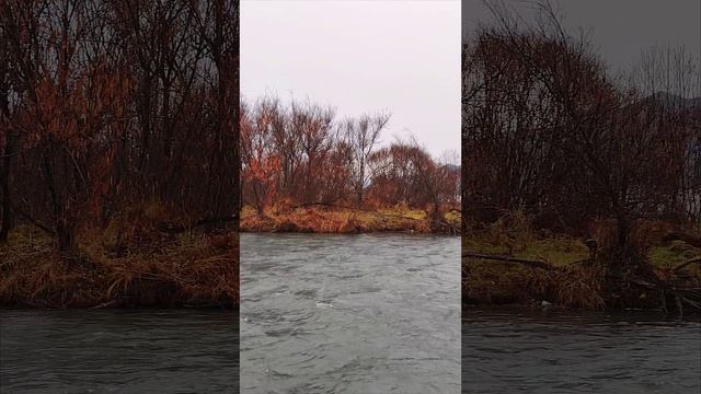 ОСЕННЯЯ КРАСОТА АЛТАЯ