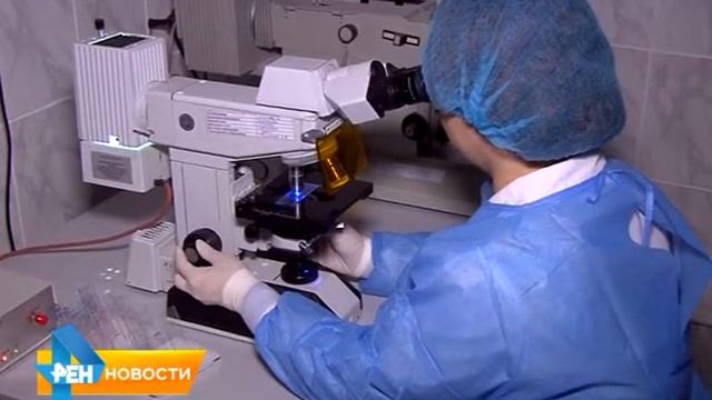 Информагентство Саратова: зараженное мясо могло попасть на прилавки