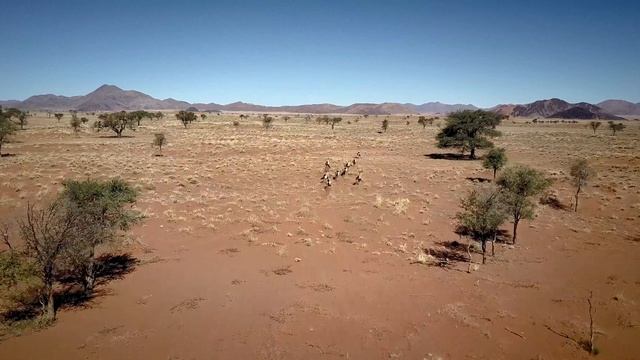 Short aerial video about Namibia