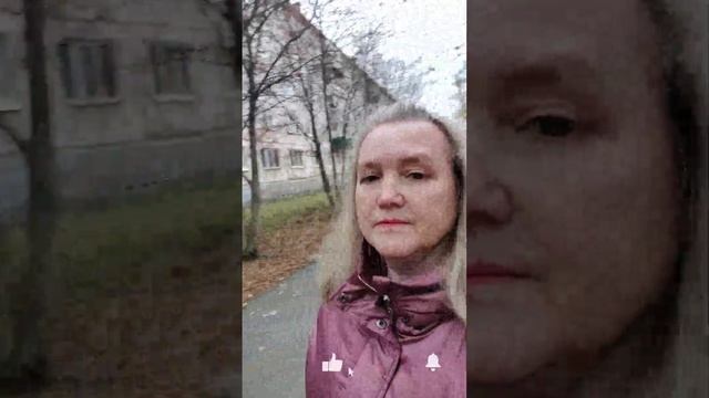 Как самому сделать видео с

альфа-каналом в Premiere Pro?