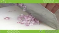 Ярмарка профессий: Рестораторы, Санкт-Петербург