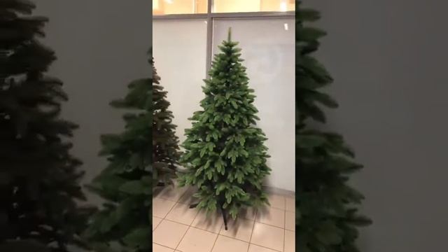 Парижская и брюссельская модель