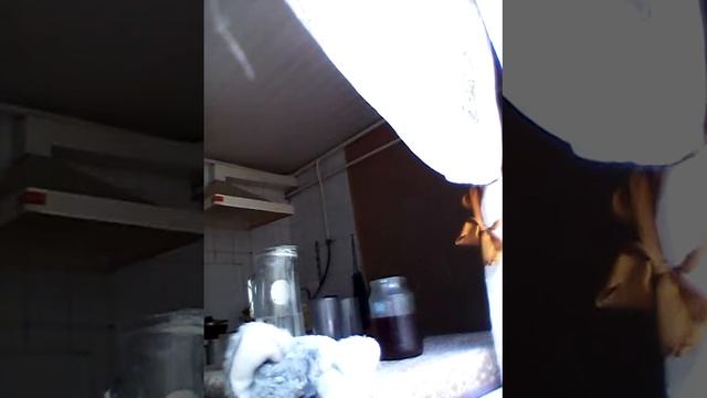 Запись на кухне!Какая жесть!